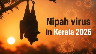 Nipah virus in Kerala: perché torna ogni anno e cosa abbiamo imparato
