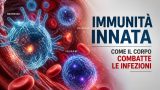 Immunità innata: come il corpo combatte le infezioni (ancora prima di accorgersene)