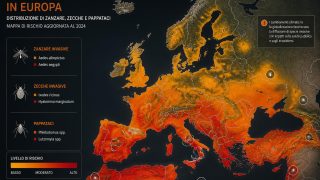 Nuove mappe ECDC 2026: zanzare, zecche e pappataci avanzano in Europa
