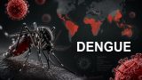 Dengue: il virus che ha conquistato il pianeta (e ora bussa anche in Italia)