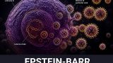 Epstein-Barr: il virus che il 95% di noi si porta dentro (e non sa di avere)