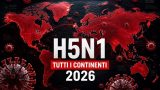 H5N1 ha raggiunto tutti i continenti: cosa significa per il rischio pandemico