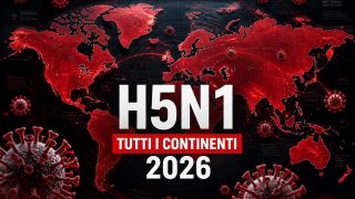 H5N1 ha raggiunto tutti i continenti: cosa significa per il rischio pandemico