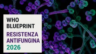 WHO lancia il nuovo piano globale contro la resistenza antifungina: 300 milioni di persone a rischio