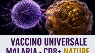 Verso un vaccino universale contro la malaria: scoperti su Nature gli antigeni CD8 chiave per proteggere da tutte le specie