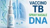 Tubercolosi, arriva il vaccino spray nasale a DNA che elimina i batteri persistenti