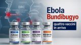Ebola Bundibugyo: quattro vaccini in sperimentazione potrebbero essere pronti in tre mesi