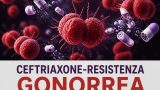 Ceftriaxone-resistenza nella gonorrea: l’ECDC lancia l’allarme in tutta Europa