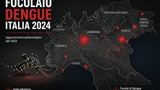 Il più grande focolaio di dengue in Europa continentale: lo studio ISS su Eurosurveillance