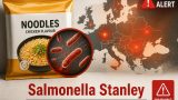 Salmonella Stanley da noodles aromatizzati: il focolaio multinazionale che ha messo in allerta l’Europa