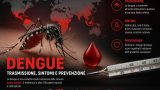 Dengue: trasmissione, sintomi e perché i casi continuano ad aumentare nel mondo