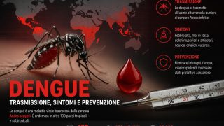 Dengue: trasmissione, sintomi e perché i casi continuano ad aumentare nel mondo