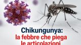 Chikungunya: la febbre che piega le articolazioni