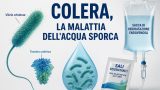 Colera: la malattia dell’acqua sporca e la cura che salva in poche ore