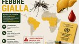Febbre gialla: la malattia emorragica che il vaccino tiene a bada