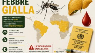 Febbre gialla: la malattia emorragica che il vaccino tiene a bada