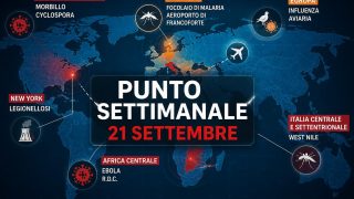 Punto settimanale: Ebola in DRC verso 7.500 casi con il governo che annuncia il picco, terzo morto per malaria da aeroporto a Francoforte, West Nile a 657 casi e 51 decessi in Italia
